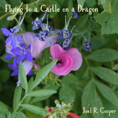 Flying to a Castle on a Dragon