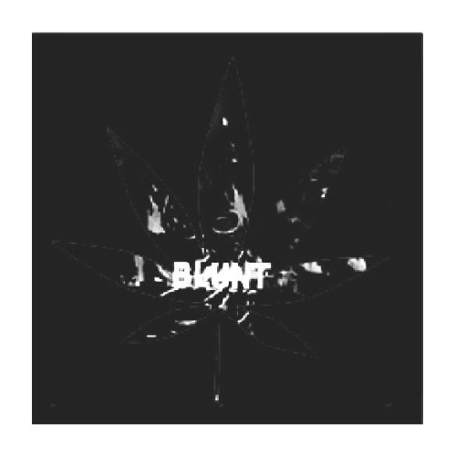 blunt archive vers.