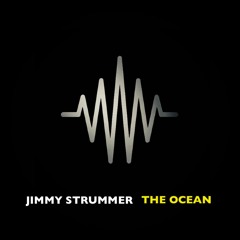 The Ocean (Against Me! cover)