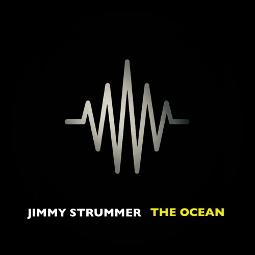 The Ocean (Against Me! cover)