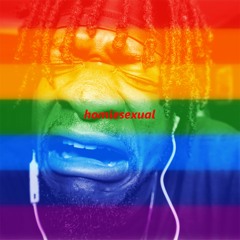 Homiesexual -  SCRU FACE JEAN DISS (Prodby Crusty, IMSOS, & Bussanut)