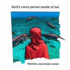 God's voice perrea inside of me - cocorosie remix