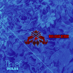 Thief (Biologix Remix)