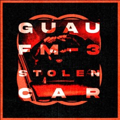 Stolen Car Ft. Guau