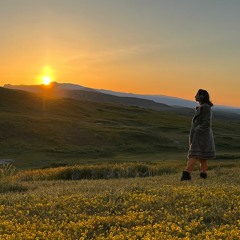 Superbloom Sunset Bliss
