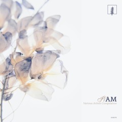 𝒫𝑅𝐸𝑀𝐼𝐸𝑅𝐸 - KHR077 | AM IV/VA | En.Ka - Pollux (Original mix)