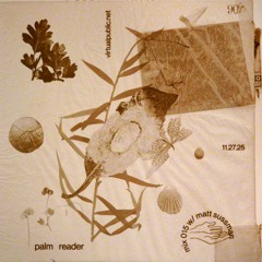Palm Reader 15: Matt Sussman @ Ambient Hike 2025