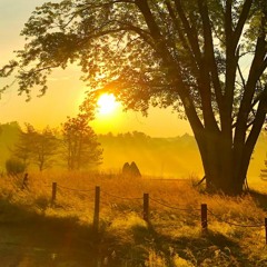 Feljött A Nap Remix