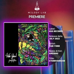 ML Premiere: Fabi Yond - Sternverkehr (AmuAmu Remix) [Hug Records]