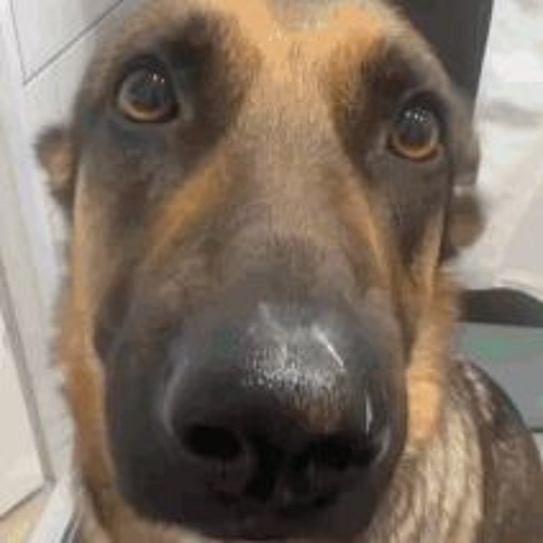 hm📉hm📈hm📈 hm-m📉m📉hm📈hm-m📉📉📉📉📉📉