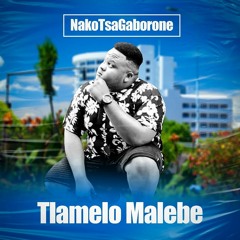 TLAMELO MALEBE Music - NAKO TSA GABORONE.mp3