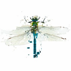 Break The Silence🥁