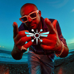 Sean Paul - Temperature (Feelmonger Remix)