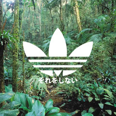 MISOGI - ＪＵＮＧＬＥＷＡＶＥジャングルの波