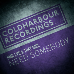 Need Somebody (DJ T.H. Remix)