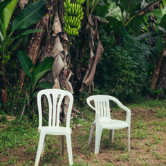 VOY A LLEVARTE PA FL