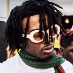 playboi carti - 24 songs made it this far i fell on my face got up on my own ft. vory unreleased