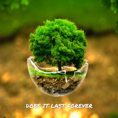 Does It Last Forever (Original Mix)