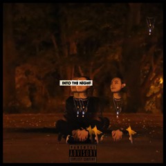 into the night (prod.  Ryan Bevolo)