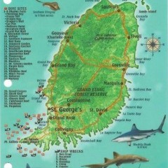 [Read] [EPUB KINDLE PDF EBOOK] Grenada Dive Map & Reef Creatures Guide Franko Maps La