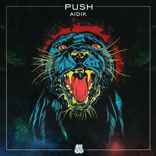 AIDIK - Push (Original Mix)