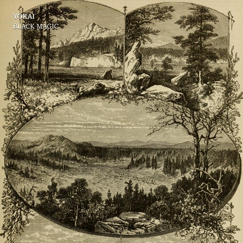 YOKAI - Black Magic