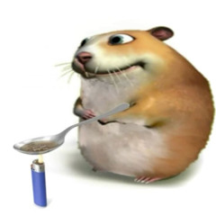 ANTES DE HACERME HAMSTER (wise version)