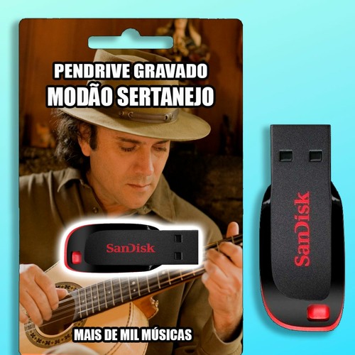 MODÃO SERTANEJO (MAIS DE MIL MÚSICAS) 👇 DOWNLOAD ↓