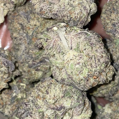 fukk newport