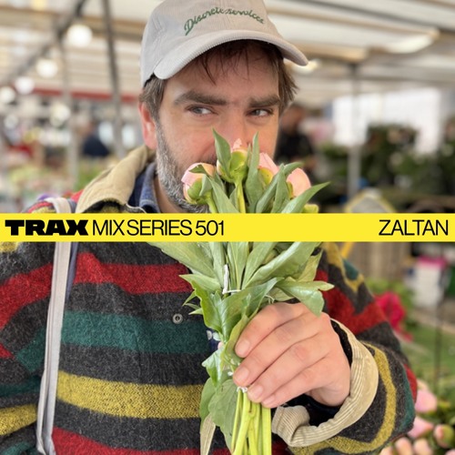 TMS. 501 ZALTAN