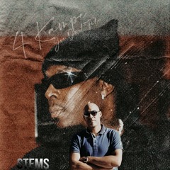 Joé Dwet Filé 4 Kampe Stems Dj Shadows 2024