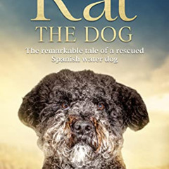 [READ] PDF ✏️ Kat the Dog: The remarkable tale of a rescued Spanish water dog by  Aly