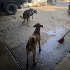 Phim Ba Người Remix - NSon Mix