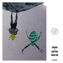 Sasha & Artche - Hold On (Artche Mix)