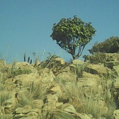 Stop Burning And loothing