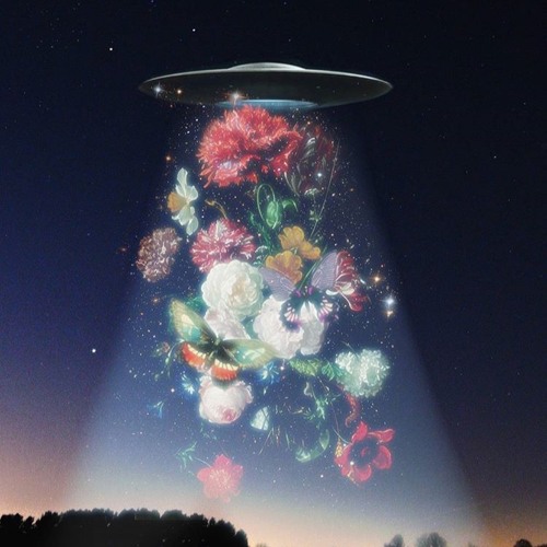 ⎪𝐃𝐞𝐫 𝐁𝐥𝐚𝐮𝐞 𝐏𝐟𝐚𝐮 ⎪