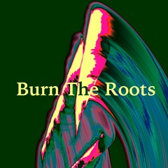 Burn The Roots: radio show