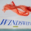 Descargar video: Windswept