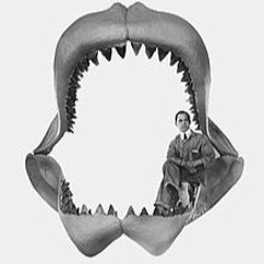 MEGALODON