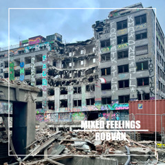 Mixed Feelings - ROBVAN
