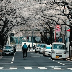~花吹雪~ (~Hanafubuki~)