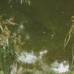 caught in a flood with the captain of the cheerleading squad