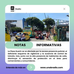 Comerciantes reclaman presencia policial en la plaza Guarín