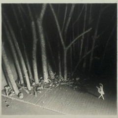 shoyo - fucking up [vol]