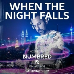Numbred - When The Night Falls 166