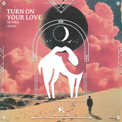 DJ VOLV, GAVR. - Turn on Your Love [Cafe De Anatolia]