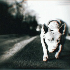 DAWG DAYZ Prod.by $ir-Weezy