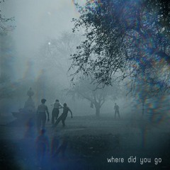 Where Did You Go (feat. Emma Hoeflinger)