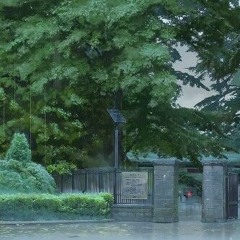 Wetland