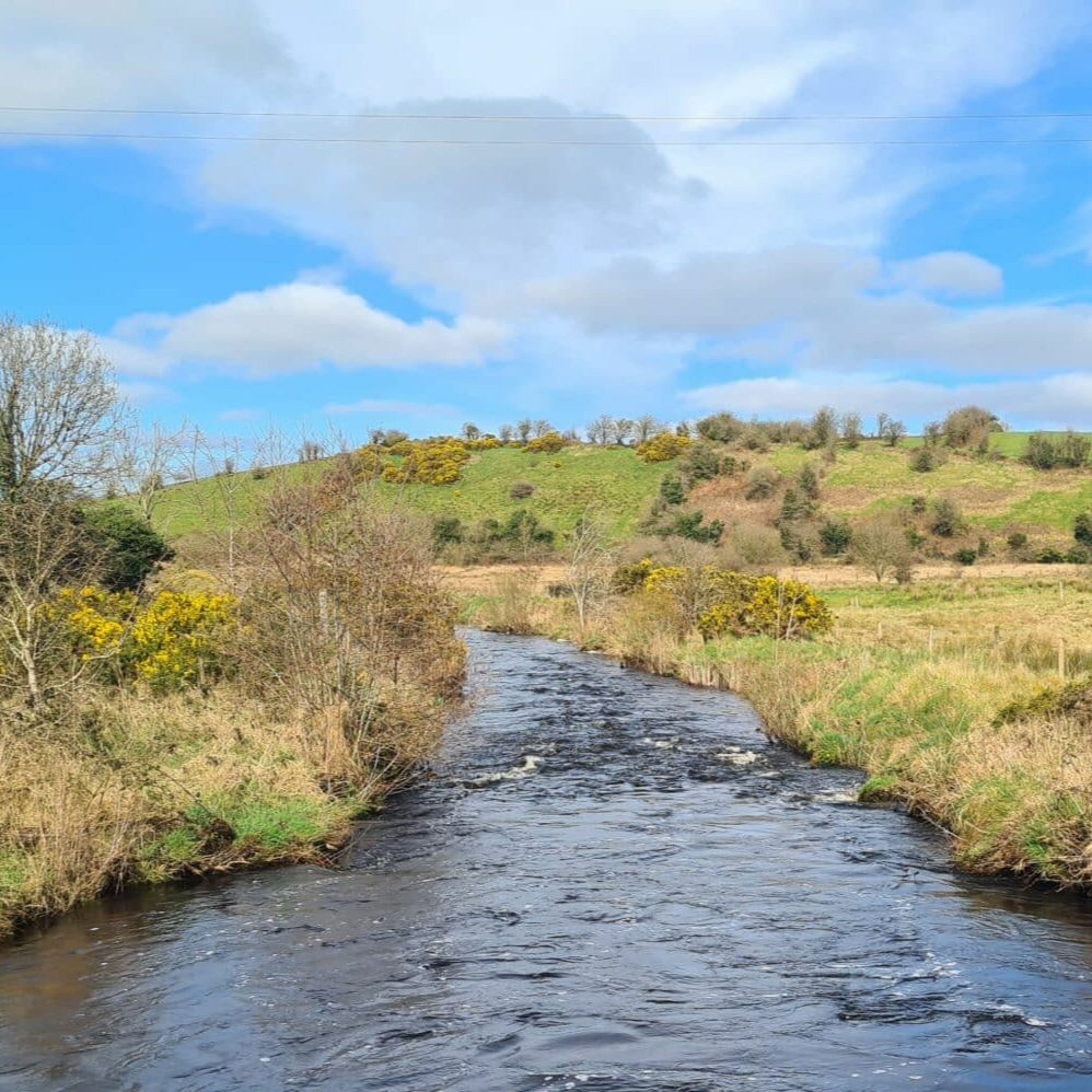 Peche en irlande